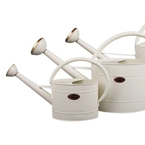 Dowse vandkande, creme. - Blomsterverden